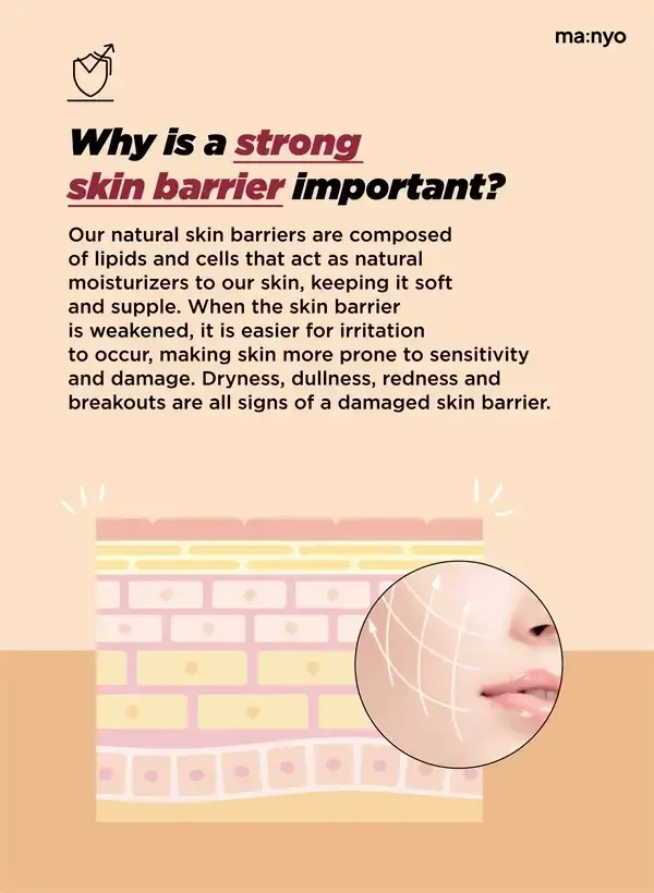 Bifida Biome Ampoule Toner - Image 3