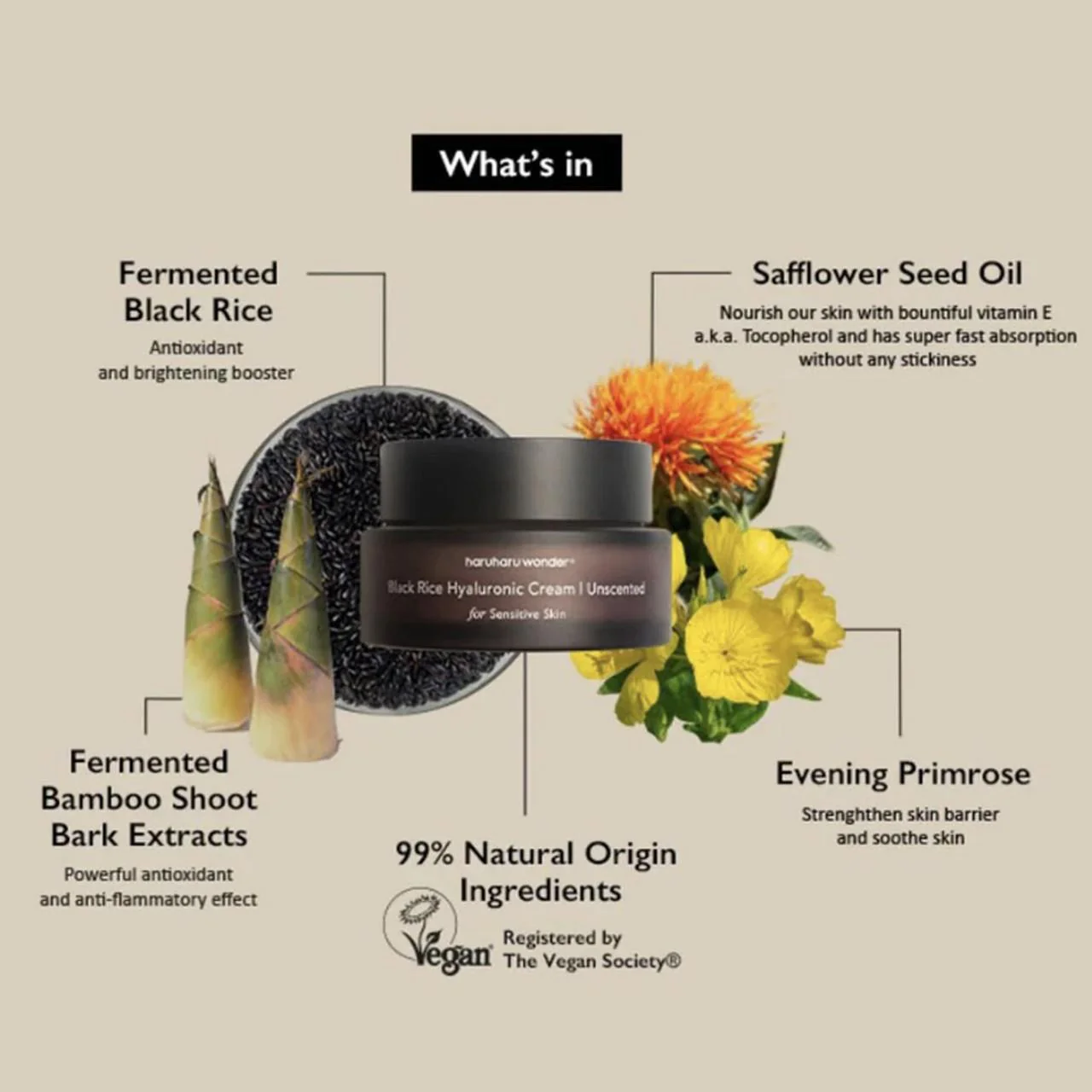 Black Rice 10 Hyaluronic Cream Unscented [50ml] - Image 3