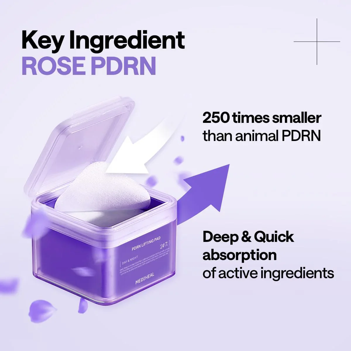PDRN Lifting Pad (100 Pads) - Image 7