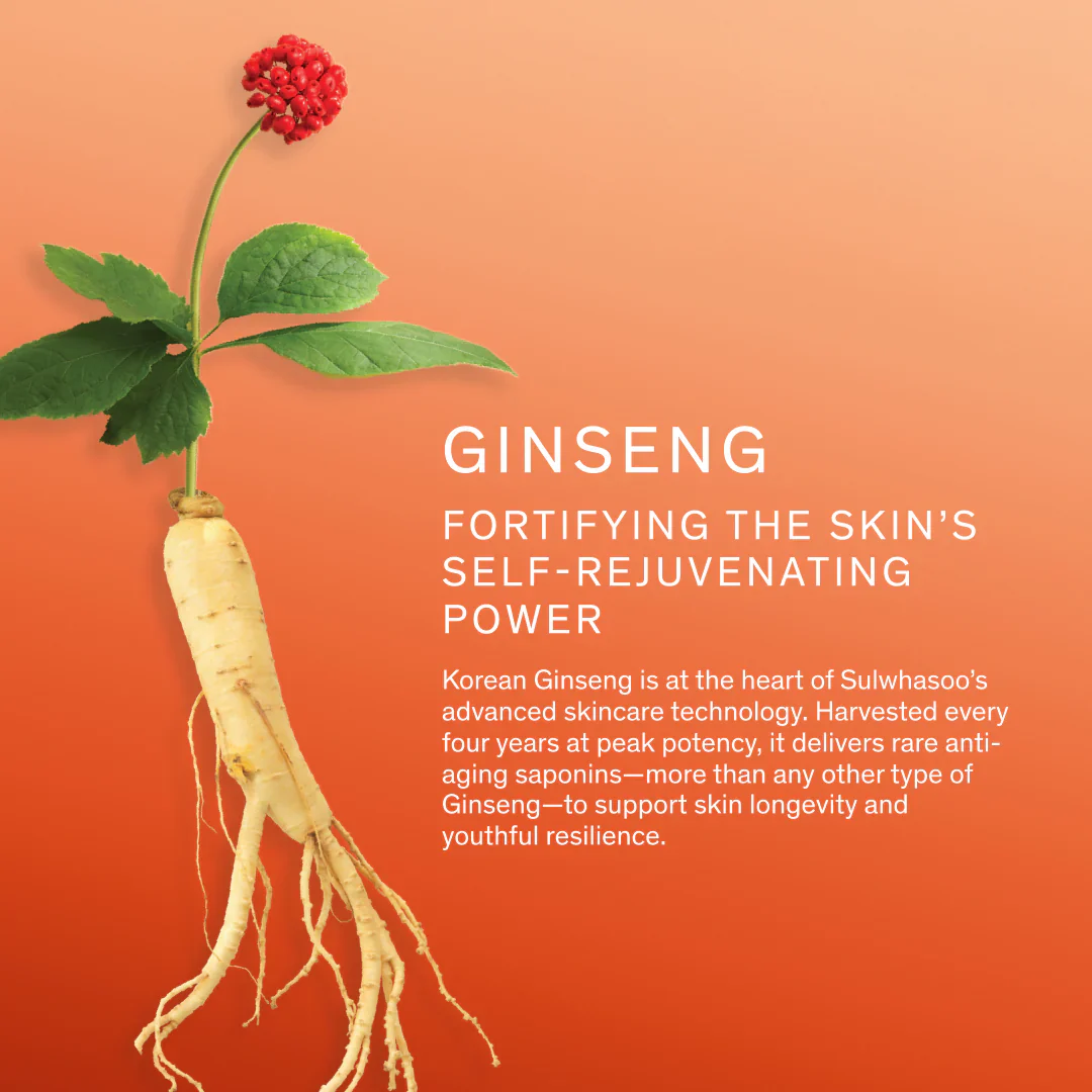 Concentrated Ginseng Renewing Cream [10ml] - Image 4