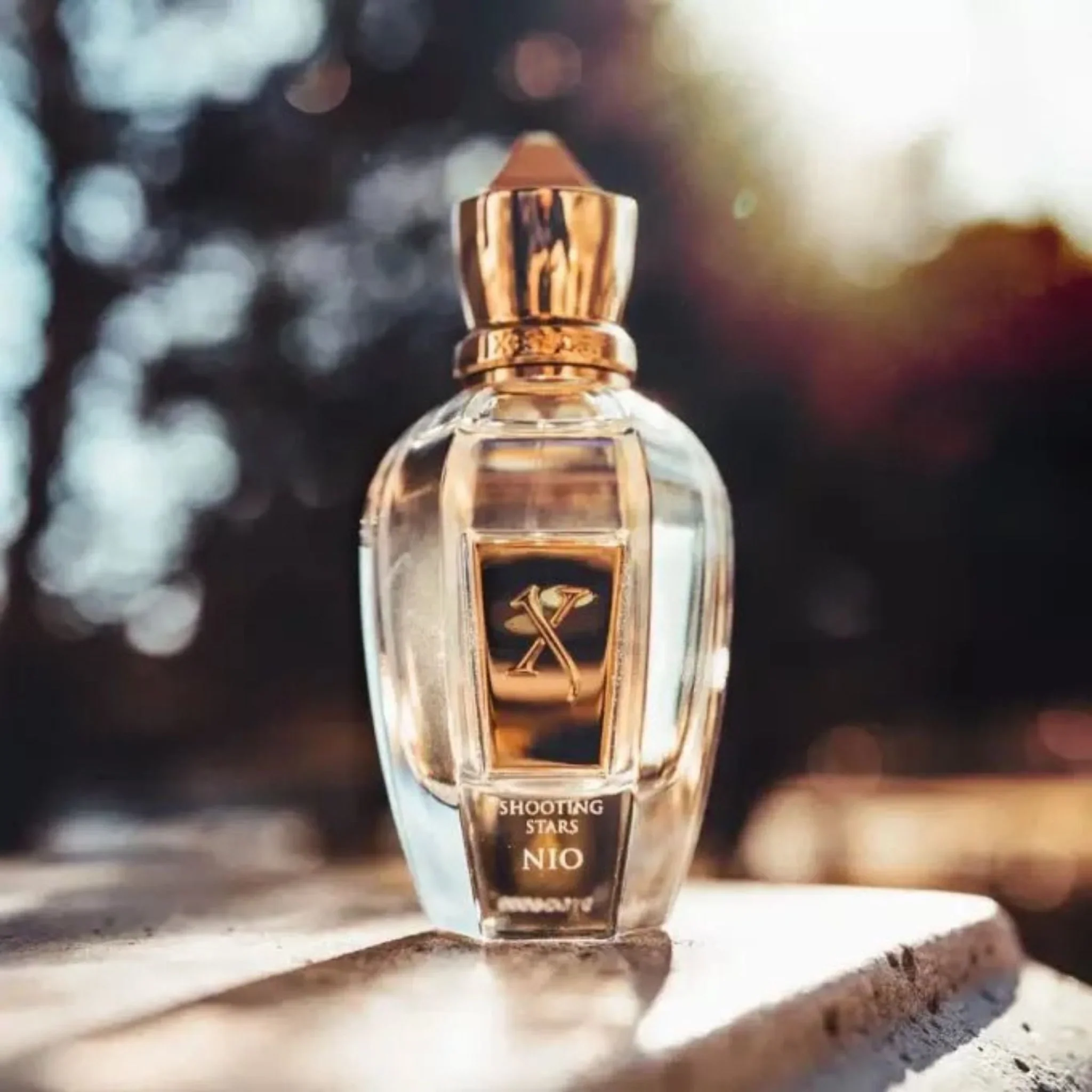 Nio Eau De Parfum [50ml] - Image 4